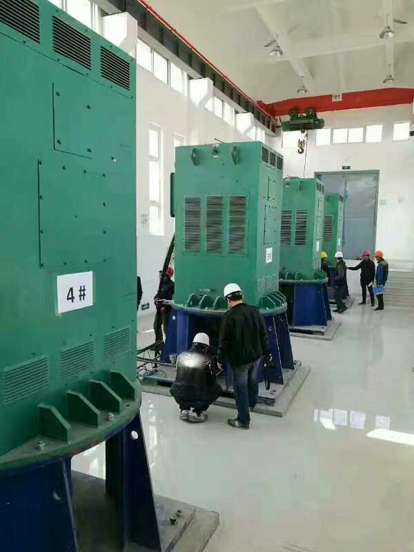 平阴某污水处理厂使用我厂的立式高压电机安装现场